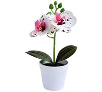 Artificial Orchid, 19cm Potted Plant, Miniature Butterfly Flower, Realistic Fake Bloom, Long-lasting Plastic Decor, Home Office Photography(White Spot Purple)