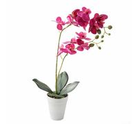 Artificial Orchid Arrangement with Coordinated Stem and Design for Cohesive Interior Narrative Building (Purple)