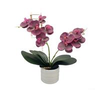 Artificial Orchid Flower Bonsai - 35Cm Faux Potted Butterfly Orchid In White Pots - Phalaenopsis Fake Silk Flower - Foliage Indoor Decor For Home Table (Purple Eyebrows)