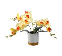 Artificial Orchid Flower Bonsai in White Gold-Rimmed Pot, 13 Inch Phalaenopsis with Realistic Soil for Elegant Home Shelf Table Desk Office Decoration, Plastic Floral Decor Arrangement(Yellow)