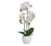 Artificial Orchid Flower Display in Pot 60cm White Realistic Home Party Decor
