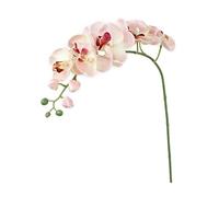 Artificial Orchid Flower Stem Fake Silk Phalaenopsis Real Touch Simulation Butterfly Orchid Artificial Orchid for Wedding Fake Butterfly Orchid Flowers Orchid Centerpieces Flowers Simulation Phalaenop