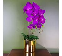 Artificial Orchid Large Purple Gold 52cm Botanik Leaf Purple One Size