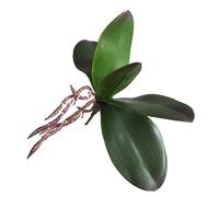 Artificial Orchid Leaf Green Fake Plants Leaf Tabletop Wedding Decor b, M