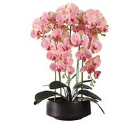 Artificial Orchid Phalaenopsis in Pot Artificial Plants Real Touch Bonsai Fake Flower w/Ceramic Vase for Indoor Decoration Living Room Table Centrepiece