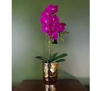 Artificial Orchid Plant Dark Pink Gold Pot 54cm Botanik Leaf Dark Pink One Size