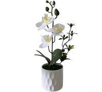 Artificial Orchid Plant with Lifelike Petals and Stems Designed for Contemporary Indoor Spaces Including Offices and Apartments (A)