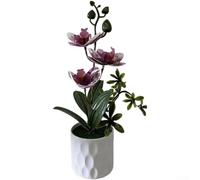 Artificial Orchid Plant with Lifelike Petals and Stems Designed for Contemporary Indoor Spaces Including Offices and Apartments (C)