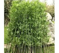 Artificial Outdoor Bamboo Tree UV Resistant 3ft 4ft 5ft 6ft 7ft 8ft Tall, Garden Privacy Screen Bamboo Silk Trees with Leaves, Fake Plant Plastic Tree for Indoor Home Decor(15 Pack,1m/3.3ft Tall)