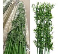 Artificial Outdoor Bamboo Tree UV Resistant 3ft 4ft 5ft 6ft 7ft 8ft Tall, Garden Privacy Screen Large Faux Bamboo Silk Trees with Leaves, Fake Plant Plastic Tree for Indoor Home Decor(10 pack,2.5m/8ft