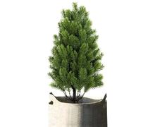 Artificial Outdoor Trees,Ground Stakes Realistic Shape-Tucked Tree | Cedar Outdoor Decoration,For Home Decoration Indoor Tree Patio Lawn Walkway Country