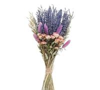 Artificial Pampas Grass, Dried Pampas Grass Lavender Flower Bunny Tails Multicolor Wedding Bouquet Decor No Vase(A)