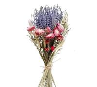 Artificial Pampas Grass, Dried Pampas Grass Lavender Flower Bunny Tails Multicolor Wedding Bouquet Decor No Vase(B)