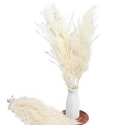 Artificial Pampas Grass, Dried Pampas Grass Multicolor Pack Of 5 Or 10 pcs(Orange)