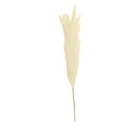 Artificial Pampas Grass,Faux Pompous Grass Bulrush Reed Grass,for Home Wedding Decor Flower Arrangement and Vase Fillings Beige
