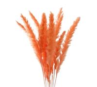 Artificial Pampas Grass, Pampas Grass Dried Flowers Bouquet Multicolor 10/20/30 Pcs 12-17 Inch Wedding Home Decor(Orange,30PCS)
