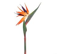 Artificial Paradise Bird Flowers Set 6 Pieces Tropical Plants Indoor Decorative Stems Orange Pink Blue Green Red Home Wedding Garden Decor 63cm(trumpet orange)