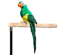 Artificial Parrot, Multifunction Parrot Model, Yard Ornaments For Home Office Private Garden Zoo Public Park Holiday Party And Wedding Ceremony