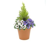 Artificial Patio Planter (60cm) with Purple & White Pansies & Conifer/Cedar Topiary in Terracotta Colour Pot
