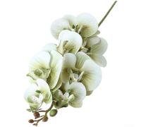 Artificial Phalaenopsis for orchid Bouquet 60cm Silk Flower Artificial(Green)