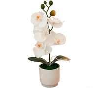 Artificial Phalaenopsis for orchid Plant for Nordic Style Home Decor | Soft Glue Plastic, Lifelike Petals, 28.5cm Height, for ideal For Home, Wedding, Office Decor