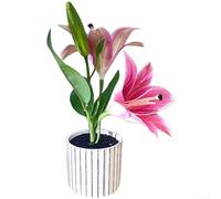 Artificial Phalaenopsis-Inspired Lily Bonsai Potted Plant For Home And Office Decor With Lifelike Flower Bud And Leaf Details(Red)