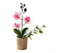Artificial Phalaenopsis Orchid 25.5cm Realistic Potted Plant(Spotted Powder)