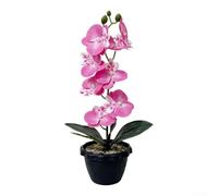 Artificial Phalaenopsis Orchid 35cm Realistic Fake Flower(Pink)