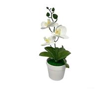 Artificial Phalaenopsis Orchid Bonsai 25cm Real Touch(White)