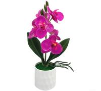 Artificial Phalaenopsis Orchid Bonsai for Year-Round Indoor Floral Display Without Watering or Sunlight Requirements (purple)