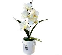 Artificial phalaenopsis orchid plant with five blooming flowers in decorative deer print pot for home office decor (White)