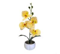 Artificial Phalaenopsis Orchid Potted Plant Realistic Printed Floral Arrangement Desk Shelf Decor (Yellow)