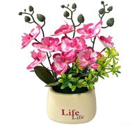 Artificial Phalaenopsis Orchid Potted Plant with Realistic Purple and White Blooms for Wedding Home Office Decor Lightweight Plastic Fake Flower Arrangement 27x25cm(Rose Red Edge)