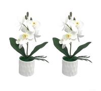 Artificial Phalaenopsis Orchid Potted Plants Set of 6 with Realistic Design for Home and Office Decoration and For Event Enhancement (White)