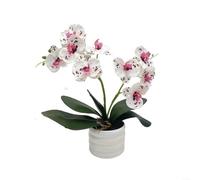 Artificial Pink Orchid Flower Arrangement in Clear Glass Vase Silk Phalaenopsis Plant Home Office Living Room Table Centerpiece Decoration 35x30cm(Purple and white)