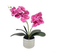 Artificial Pink Orchid Flower Arrangement in Contemporary Vase Silk Phalaenopsis Plant with Double Stems Lifelike Floral Display for Living Room Office(Purple)