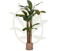 Artificial Plant Banana Tree, Maia Shop For Home And Office Decoration, 180Cm