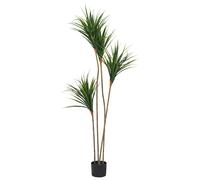 Artificial Plant DRACAENA DRACO 165 cm Green