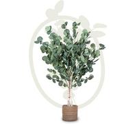 Artificial Plant Eucalyptus, Maia Shop For Home And Office Decoration, 105Cm