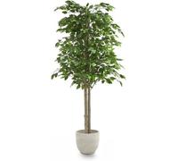 Artificial Plant Ficus Tree, Maia Shop For Home And Office Decoration, 150Cm