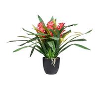 Artificial Plant GUZMANIA ATILLA 50 cm Green