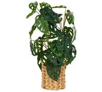 Artificial Plant MONSTERA ADANSONII 53 cm Green