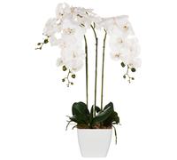 Beliani Artificial Plant ORCHID 59 cm White, Green