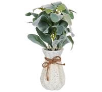 Artificial Plant PEPEROMIA ARGYREIA 30 cm Green