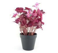Artificial Plant Purple Shamrock Pink Flowers Potted Botanik Leaf Purple One Size
