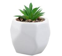 Artificial Plant White Indoor Potted Pot Plastic Small Succulents 12.