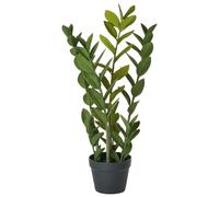 Beliani Artificial Plant Zamiifolia 76 Cm Green