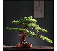Artificial Plants Bonsai Cedar Bonsai Artificial Tree In Ceramic Pot 11.8 Inches For Office Or Home Decor Greenery, Faux Potted Houseplant, Green Fake Tree Pot Ornaments,B,Pleasant63