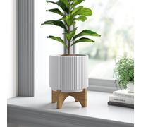 Artificial Plants Ceramic Planters Displays Home Decor Leaf Design UK Limited Office Desk