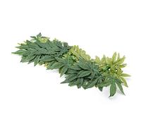 Artificial Plants Fake Leaves Plastic Green Grass with Sucker for Aquarium Fish Tank Reptile Terrarium Habitat Box Cage Terrarium Ornaments Outside Home Garden Eco-Friendly Decor(50cm/19.69in)